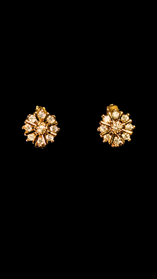 Crystal Charm  Earrings mockup