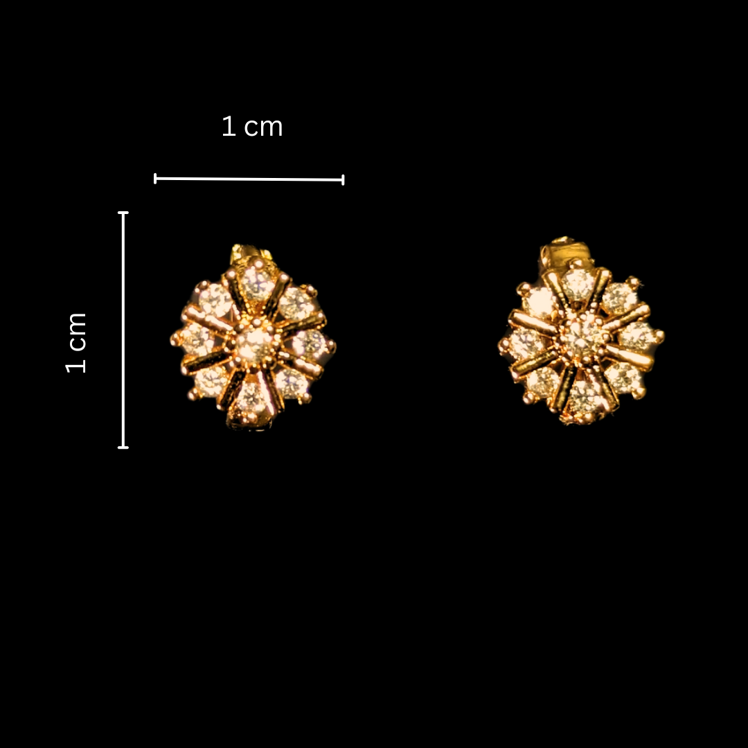 Crystal Charm  Earrings